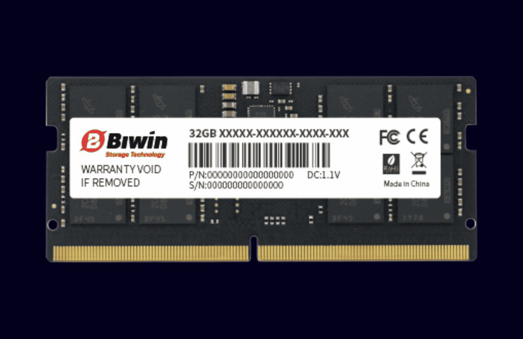 DRAM Module